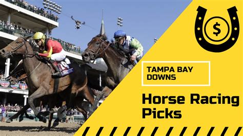 horses betting news|Free Tampa Bay Downs Horse Racing Picks for Race 1 Apr 16, .